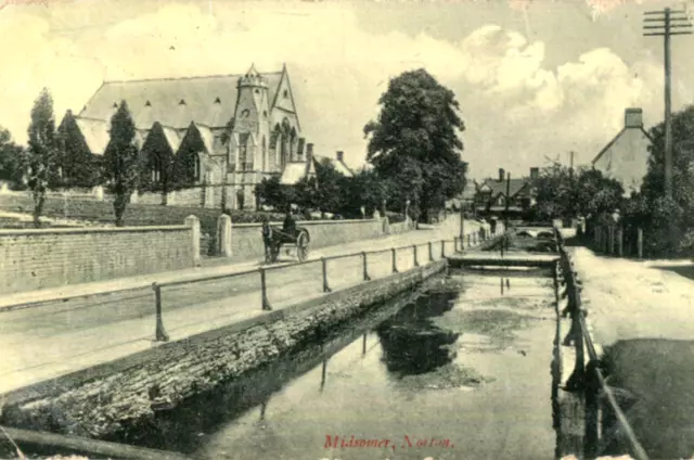 1908 postcard horse and trap MIDSOMER NORTON Somerset