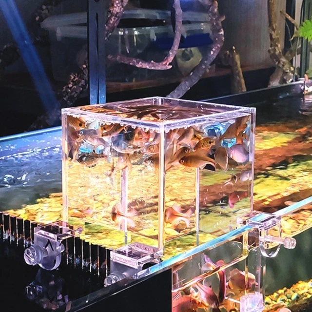 3pcs Fish Bracket Clear Acrylic Fish Clear Aquarium Glass Cover Holder 3