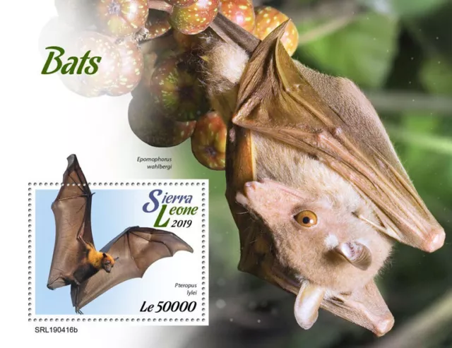 Sierra Leone 2019 MNH Wild Animals Stamps Bats Flying Fox Bat Mammals 1v S/S