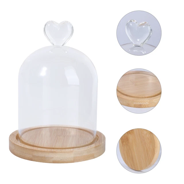 Cloche in vetro con base in legno - Marrone - HOME | H&M IT