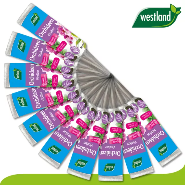 Westland 10 x 40 ML Orchidées Vitalkur » La No 1 IN England pour le Jardin «