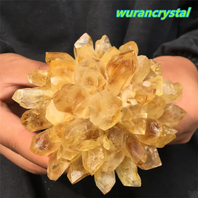 New Find Yellow Phantom Quartz Citrine Crystal Cluster Mineral Specimen Healing