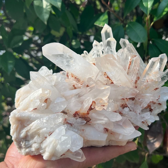 4.9Large Natural White Clear Quartz Crystal Cluster Rough Healing Specimen506