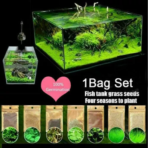 10g/bag Aquarium Plant Seeds Fish Tank Aquatic Water Grass Foreground Easy Plant