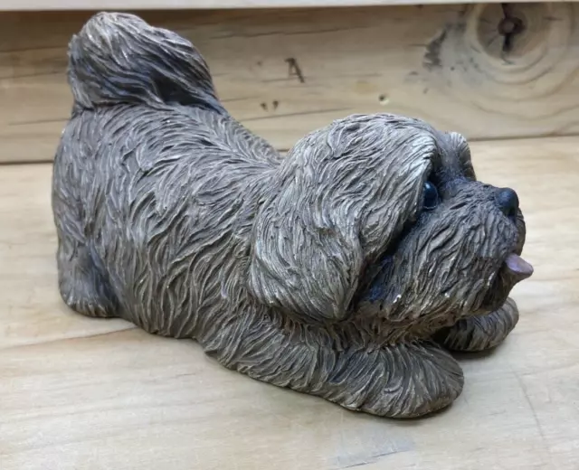 Lhasa Apso Dog Sculpture Sandicast Sandra Brue 1981 Pup 9” Fawn Signed 3