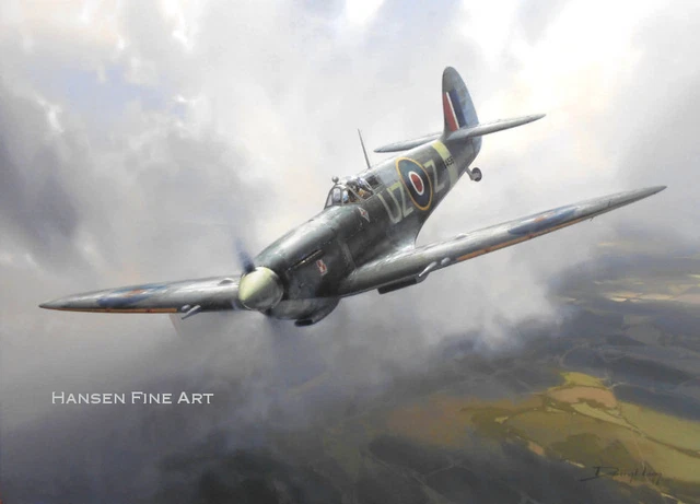 Supermarine Spitfire IX 306 Squadron Polish Aviation Art Print Darryl Legg