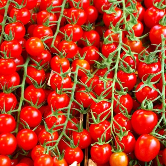 Seeds Red Cherry Tomato SUPER SWEET Rare non-GMO Vegetable Organic Heirloom