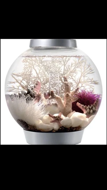 biOrb Classic Silver Aquarium with Standard Light - 4 Gallon.