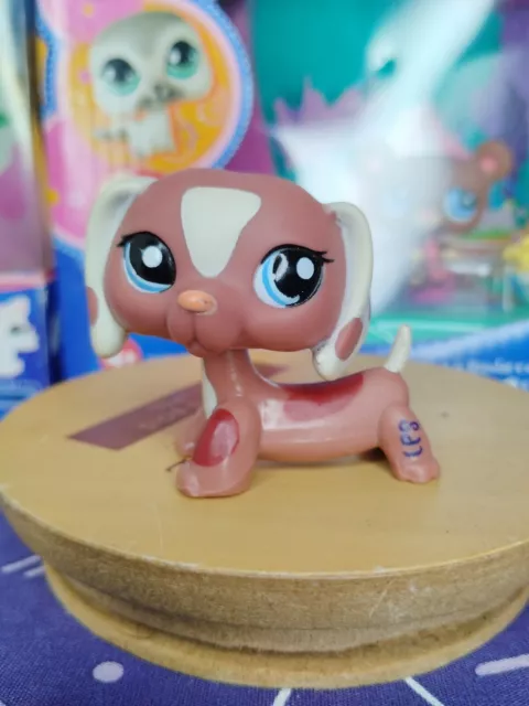 Littlest Petshop Lps Chien Dog Teckel Daschund 1631