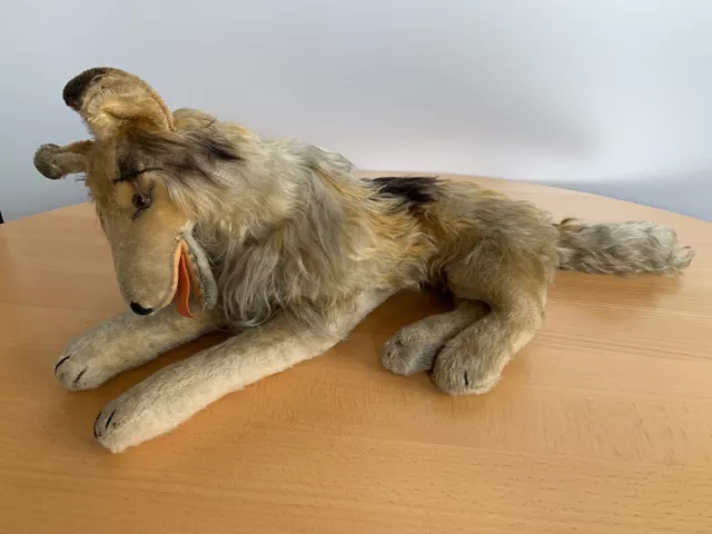 Alter STEIFF Hund Collie liegend, Mohair, 43 cm, keine ID`s