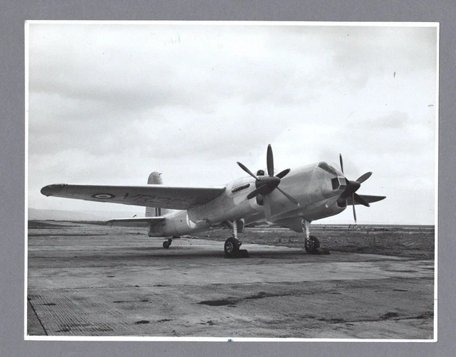 Short Sturgeon Large Vintage Original Manufacturers Stamped Photo Royal Navy