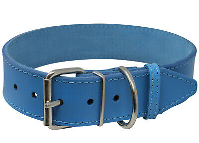 Dog Collar 21"-24.5" neck 1.75" wide High Quality Genuine Leather Blue