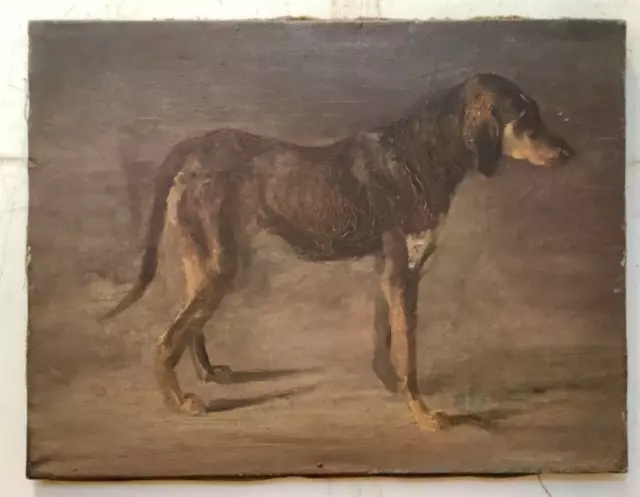 Realism 19th Century Portrait hunting dog Oil on canvas