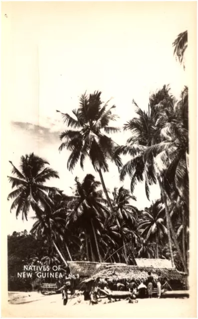 Natives of New Guinea Indigenous People Huts & Palm Trees 1930s RPPC Postcard