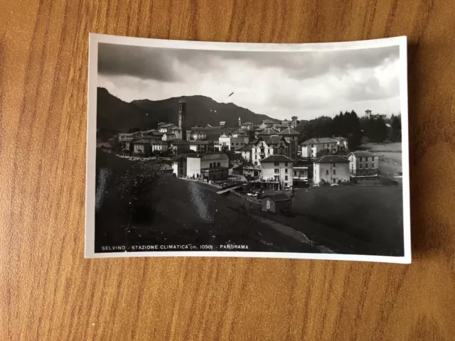 Cartolina Selvino Stazione Climatica Panorama Non Viaggiata Subalpina Ww