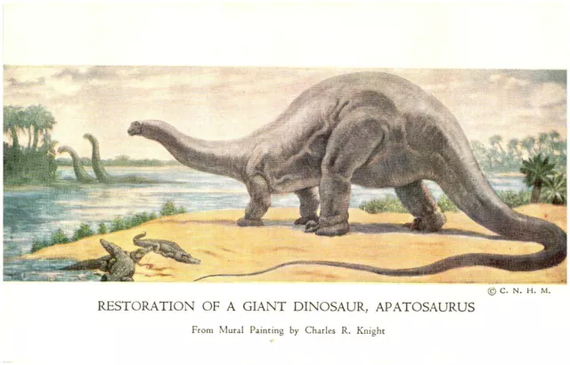 Giant Dinosaur Apatosaurus, Mural Painting, Chicago Natiural History Museum