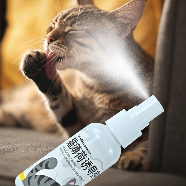 50 ml spray hierba gatera inductor saludable no irritante hierba gatera gato excitación planta de juguete