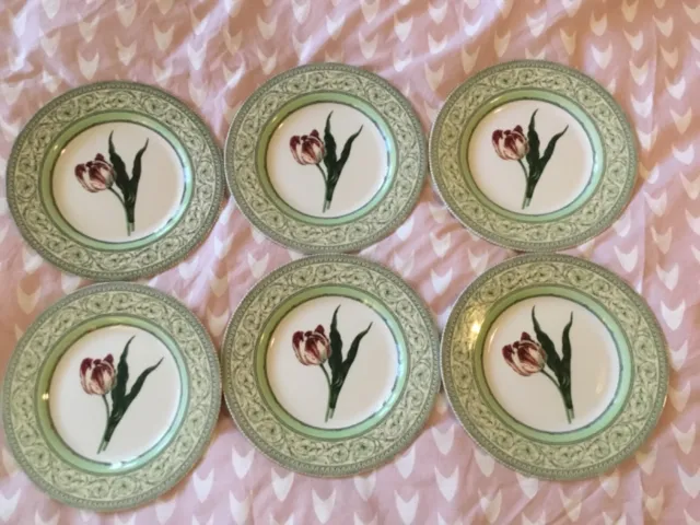 6 Royal Horticultural Society Applebee Collection Side Plates. 8.25 inc Diam