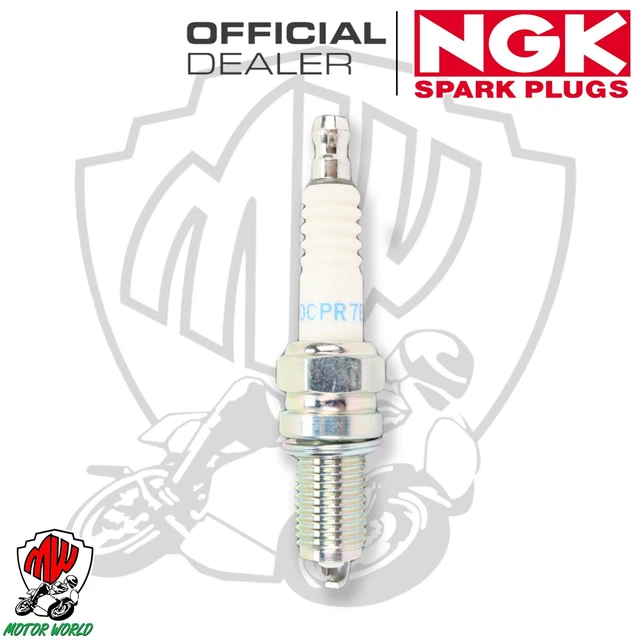 CANDELA DI ACCENSIONE NGK 2023 per Fiat Tipo Posteriore 88-95 EUR 16,54 CANDELA DI ACCENSIONE NGK 2023 per Fiat Tipo Posteriore 88-95 EUR 16,54