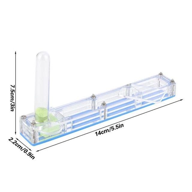 Acrylic Ant Nesting House Formicarium Box Water Tower Display