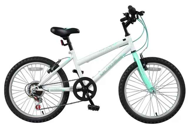 SPIKE BIKE 20 Inch Wheel Size 6 Gears Girls Boys Kids Mountain White 6108 129.99 PicClick UK