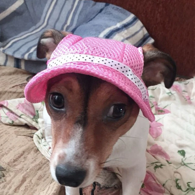 Breathable Pet Hat Outdoor Dog Hat Pet Breathable Hat Outdoor Decor Baseball Cap 4
