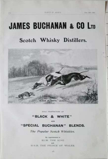 1903 Stampa Annuncio James Buchanan & Co Ltd Scotch Whisky Distillatori