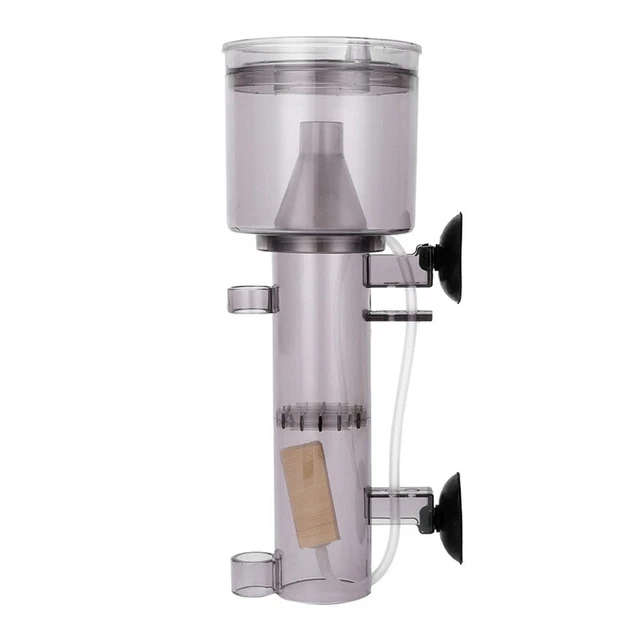 Schimmer proteine acquario pesce acquario proteine schiumatoio acqua salata in T6V3