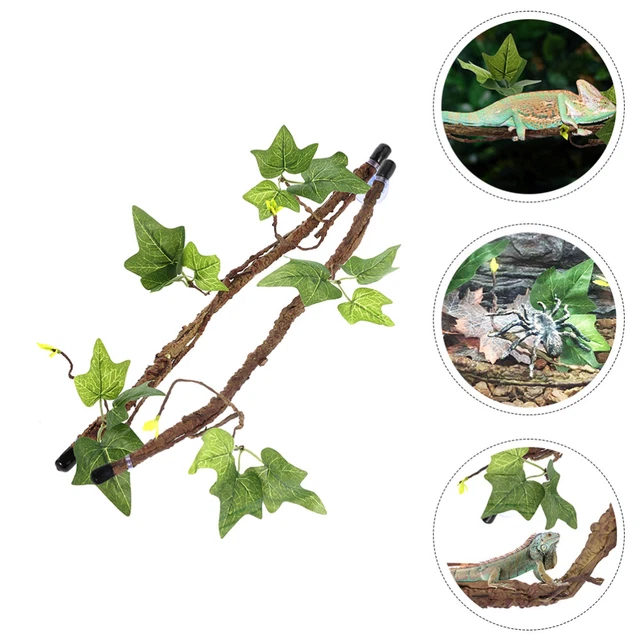 2 Pcs Pianta Acquario Rattan Paesaggistico Per Rettili Mini Piante Con Ventosa