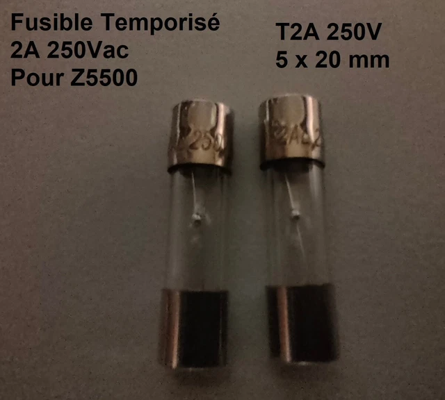 Lot de 2 Fusibles 2A 250V temporisé pour Logitech Z5500 Z2300 Z680