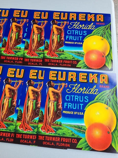 Wholesale Lot Eureka Florida Citrus Crate Label Paper Native American Indian Vtg