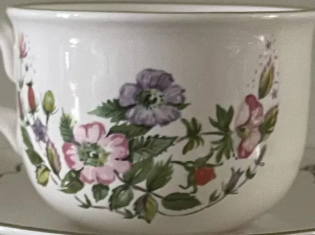 CLOVERLEAF Vintage Wild Flowers Cup Saucer X 2 Excellent Condition 🌸 3