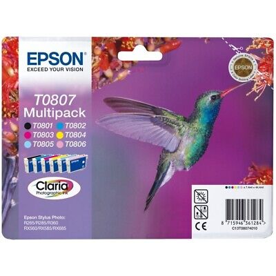 Epson T080 Serie Colibrì Cartuccia Originale Getto d'Inchiostro Colibri TG. Standard 