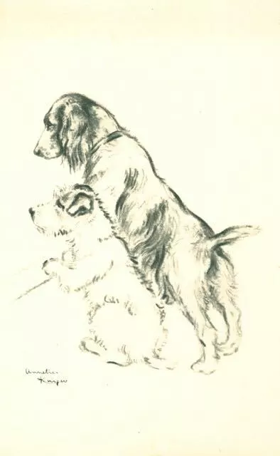 Old Dog Postcard Sealyham Terrier & Cocker Spaniel Annelies Kuiper Holland c1920