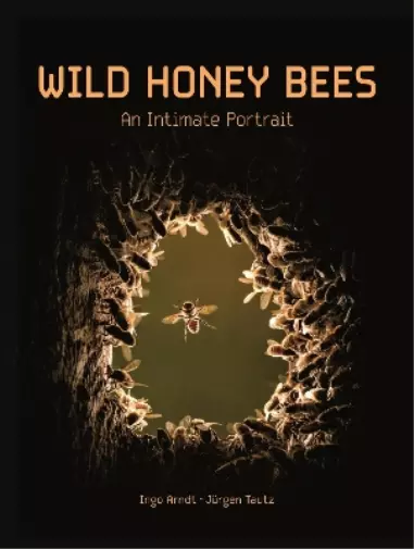Jürgen Tautz Ingo Arndt Wild Honey Bees (Relié)
