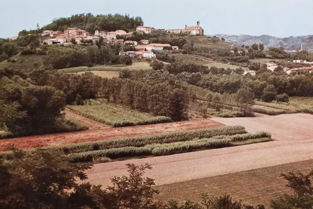 Cartolina - Incisa Scapaccino ( Asti ) - Panorama - 1971