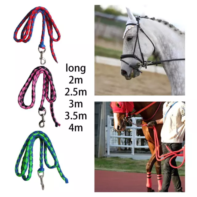 Horse Lead Rope with Bolt Snap, Webbing Horse Rope, Horse Leash Rope Equestrian