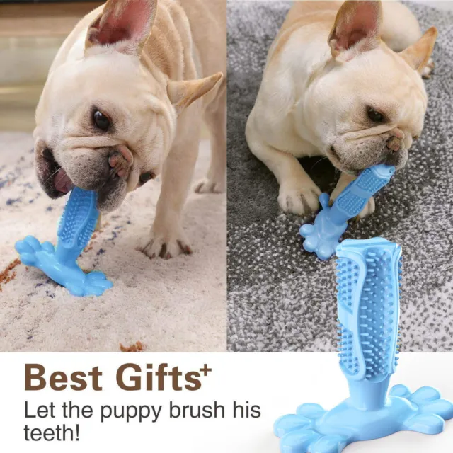 Dog Chew Toy Toothbrush Cleaning Teeth Care Dental Health Pet Molars Brush Stick