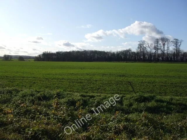 Photo 6x4 Fields towards Smeaton Bridge Little Smeaton/SE5216  c2009