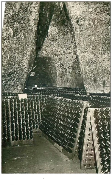 51.VENDANGES.n°24630.VINS AU REMUAGE.CPSM