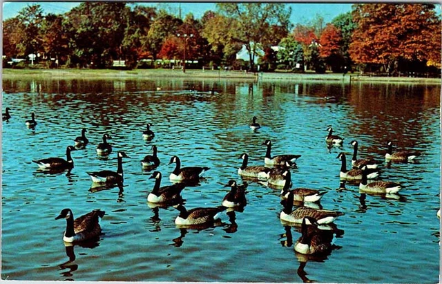 Postcard ANIMAL SCENE Ridgewood New Jersey NJ AK8737
