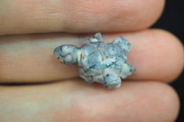 Original Ancient Agate Carved Turtle Longevity Amulet PYU Culture bead Pendant