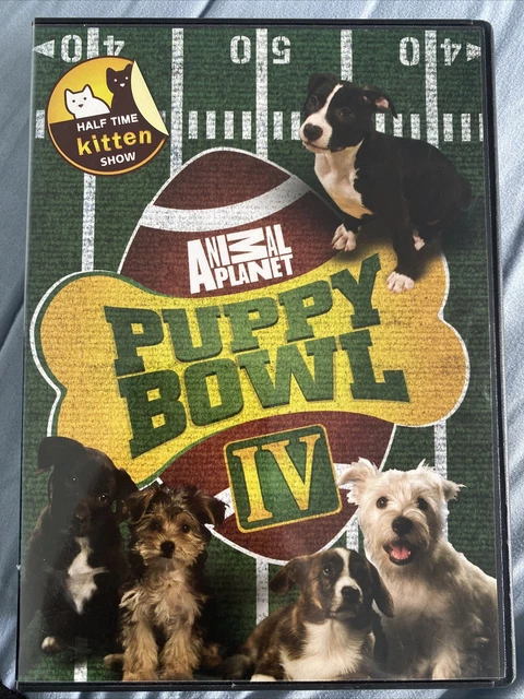 Dave salmoni puppy best sale bowl