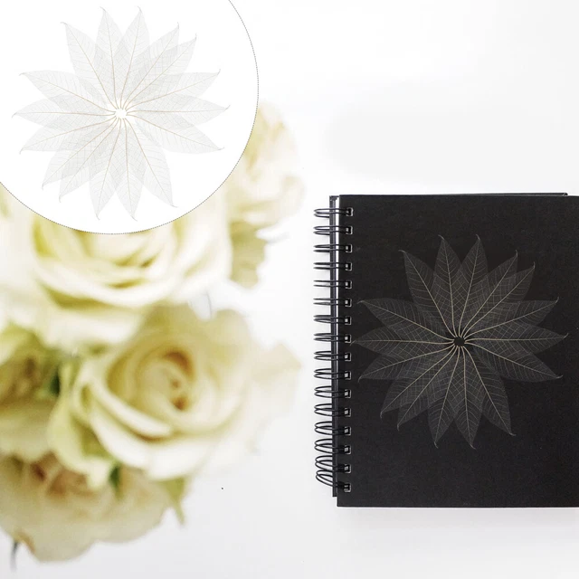 100 Pcs Exemplar Getrockneter Blätter Blatt-Skelett-Kunst Gepresste Sammelalbum