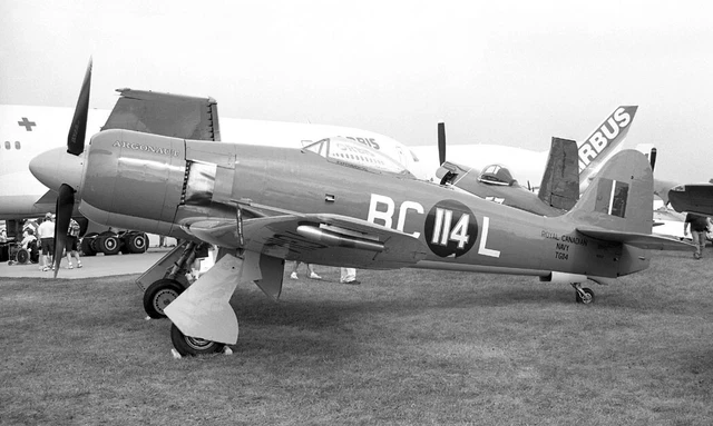 Sea Fury FB.II, TG114 'BC-L' 'Argonaut' at OSHKOSH, 1 Aug 2003 - B&W Neg_6083