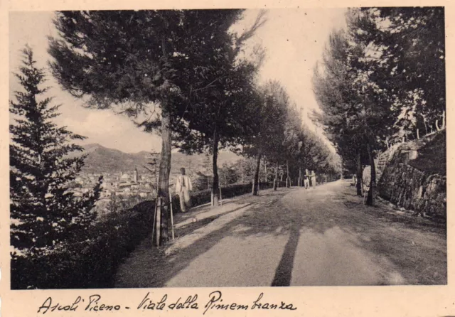 Cartolina Ascoli Piceno Viale Della Rimembranza