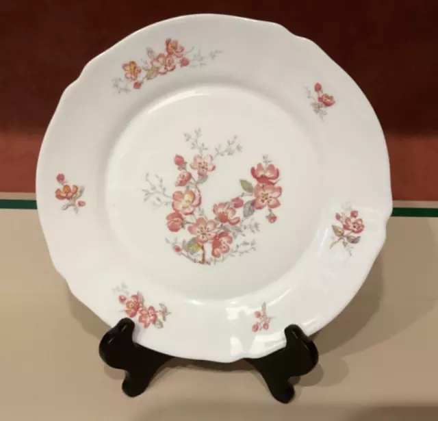 Vintage Arcopal France Florentine pink Floral 10” dinner Plates set of 5