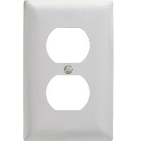 Bryant SS8 Duplex Plate, 1-Gang, Standard, Satin Stainless Bryant Electric Div