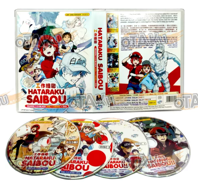 ENGLISH DUBBED Cells At Work: Hataraku Saibou SEASON 1&2 + BLACK (1-34 End)  +OVA
