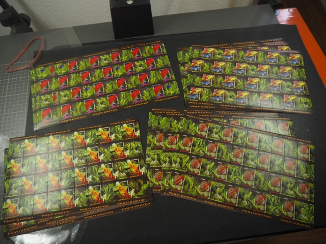 Rumänien 2005, Serie "Zierfische" mit ZF, **/MNH, Mi.Nr.5912/15 (100), ME 1000,-